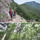 [계곡 명산] 새 등산로, 변산 어수대~쇠뿔바위~청림마을 이미지