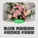 카라 | [대전둔산동꽃집] 기념일 꽃다발 선물추천, 둔산동 카라플라워 솔직 후기 (전국 꽃배달 추천)