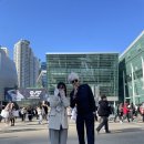 고고하개 이미지