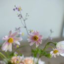 꽃으로 힐링하는 플라워 클래스 이미지