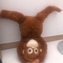 블친이 개강을 했다 그래도 블로그하면 생각나던 사람이었는데 그렇게 가버리다니 젊은 나이에 안타깝게...