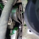 장일카센타 이미지