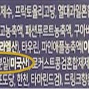 카페인51