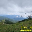 허자 행정사사무소 이미지