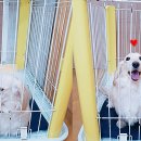 청라종합동물병원 이미지