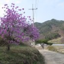 운길산역 앞 양방향 | 다산길 3코스 새소리명당길 1 – 길을 만든 자의 자세....