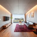 망 조 대 이미지