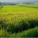 농업회사법인 나라주식회사 이미지