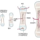 아이더블유엠