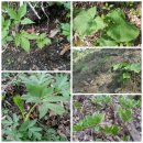 선택농장 이미지