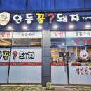 안동꿀돼지 - 강서구 명지국제11로 58 | 안동꿀돼지