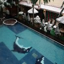 드래곤힐스파휘트니스클럽 이미지