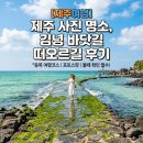 바닷길풍경 - 35848 | [제주여행] 제주 사진명소-동쪽여행 코스, 김녕떠오르길, 김녕 바닷길후기