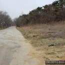 강화전원공인중개사사무소 이미지