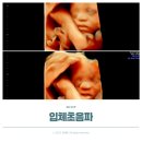 26 | 입체초음파 시기 비용 임신 26주 후기