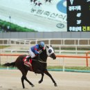 데이라 이미지