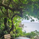 하마카페 이미지