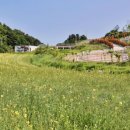 선택목장 이미지