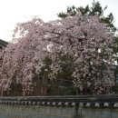 오늘의 경주 이미지