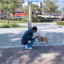 이노반트
