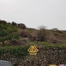 고성리-6 이미지