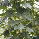 김진규농장 이미지