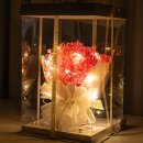 가행나무 이미지