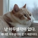 무념무상 이미지