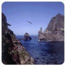 독도는 우리땅 이미지