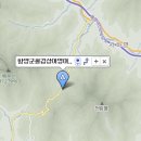 함양군 철갑상어 영어조합 이미지