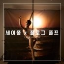 폴로그 x 세이폴댄스 폴프로필 내돈내산 촬영 후기