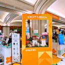 강남애견백화점 | 강남 신세계 넥스트로컬 팝업 열띤 현장 후기