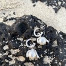 진주로(R+L) 이미지