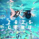 [세부여행] 밀리네호핑/Chicky&#39; Oink/과일가게/졸리비