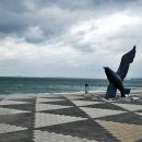 보령베스트 이미지