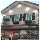 쁘띠 토마토 이미지