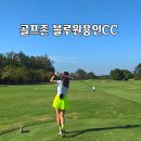 블루원 스크린골프 이미지