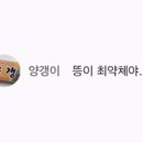 멈머야 이미지