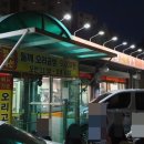 신월농장야채 | 황금오리농장[신정동맛집]