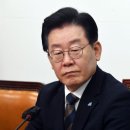 "민주 지지율 뚝뚝↓…李 체포동의 '부결' 190표?" 이미지