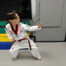 금강 인성 태권도장 이미지