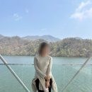 자라섬캠핑장 중도-1 | [경기도/가평] 사람적은 벚꽃명소 가평 자라섬 후기 (4/11 기준 벚꽃 만개상황 / 겹벚꽃 개화시기?)