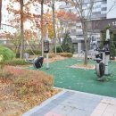 새뜸초등학교 이미지