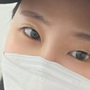 퀸브로우 눈썹앤속눈썹 네이버블로그