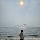 궁평2리 마을회관 이미지