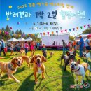강릉관광여행사
