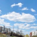 노란코끼리(미사점) | 이퀄센세이션 미사