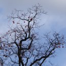 도청마을 이미지