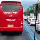 노블여행사