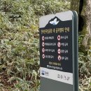 간드락게스트하우스 | [제주] 눈오는 날 한라산 등반후기(관음사-관음사코스)
